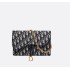 [DIOR] 디올 오블리크 새들 클러치백 S5620CTZQ_M928